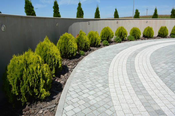 Best Residential Driveway Paver Services  in Needville, TX