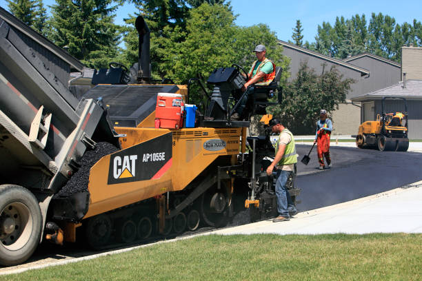 Best Driveway Paving Contractor  in Needville, TX