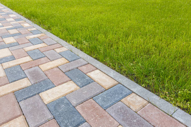 Best Driveway Paving Near Me  in Needville, TX